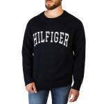 Tommy Hilfiger - MW0MW25353 - blue / L